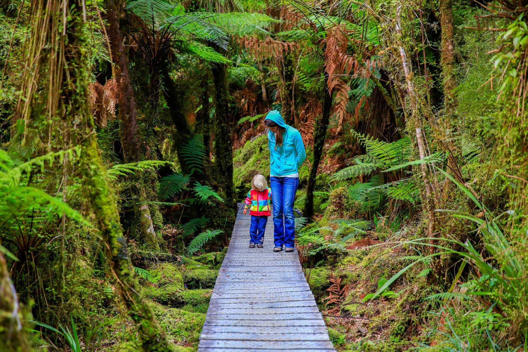 Woman walking with a child in the forest